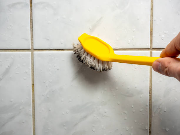 North Crossett, AR Mold Removal Company