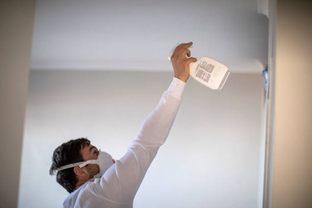 Best Residential Mold Removal  in North Crossett, AR